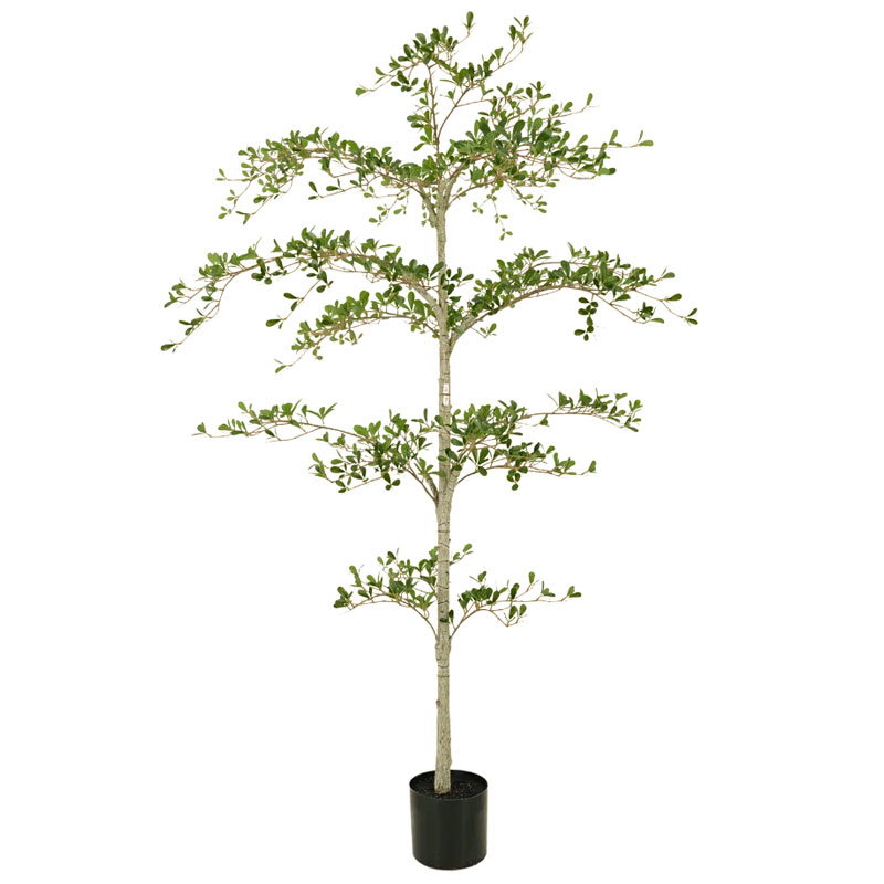 XL OLIJFBOOM BUCINDA black olive kunstboom zwarte kunst olijf enkelstammig 180cm