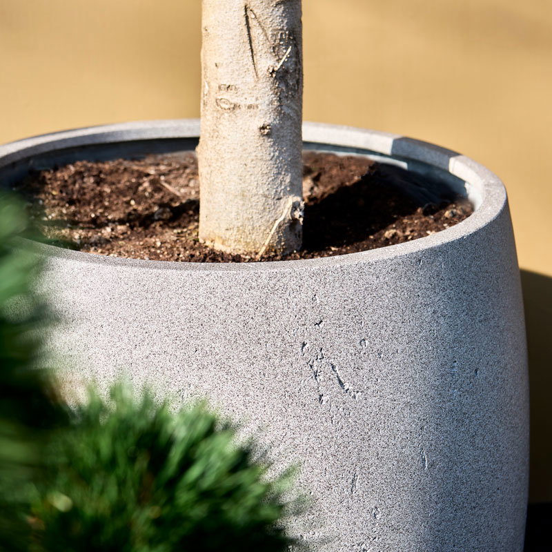 DARAA beton grijs grote bloempot plantenbak hoog voor buiten 68m
