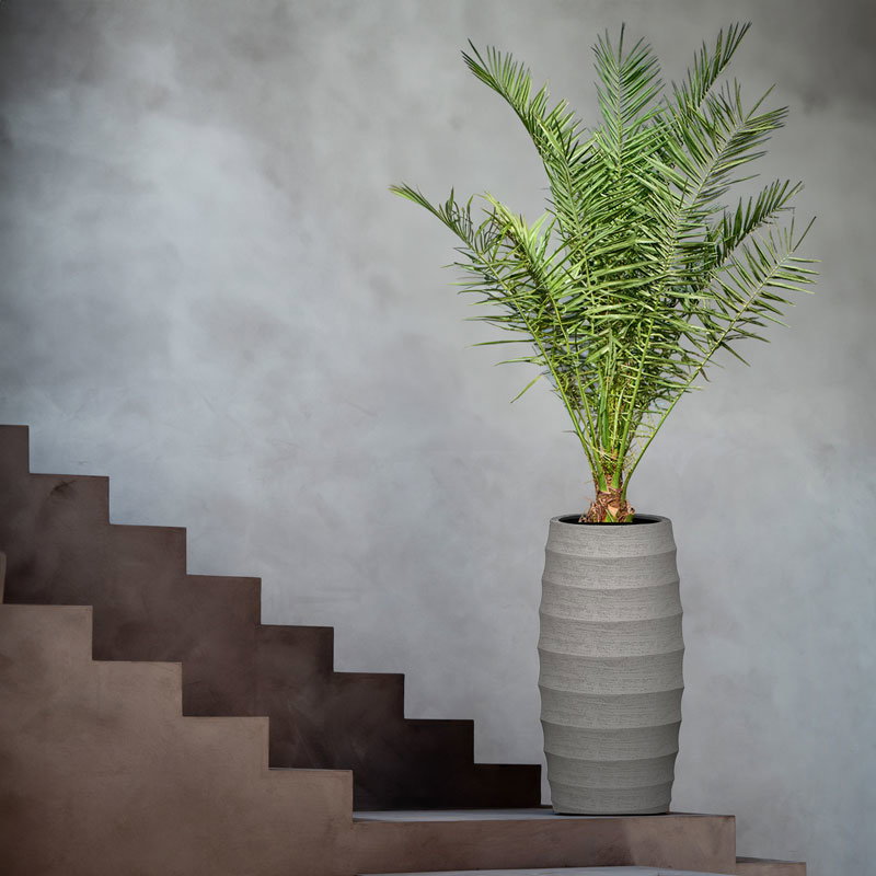 BORDO grote grijze bloempot vaas hoog en hoog beton design voor buiten 110cm