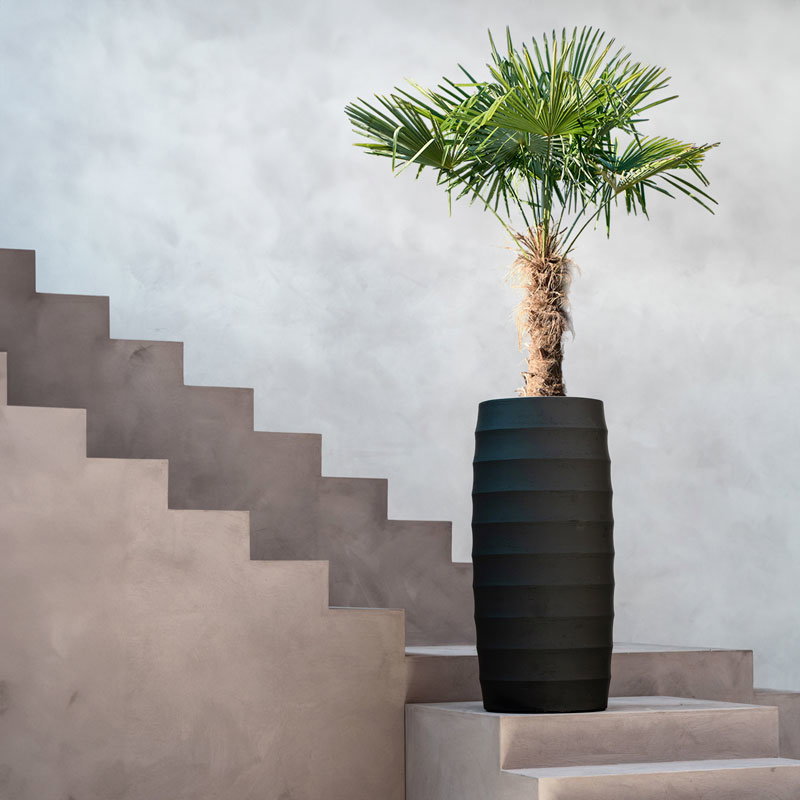 BORDO grote zwarte bloempot vaas hoog en hoog beton design voor buiten 110cm