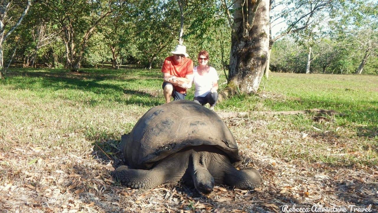 3D-Classic-Santa-Cruz_Tourists-&-Giant-Tortoise-min