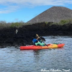 Rebecca Adventure Travel Kayak in Galapagos