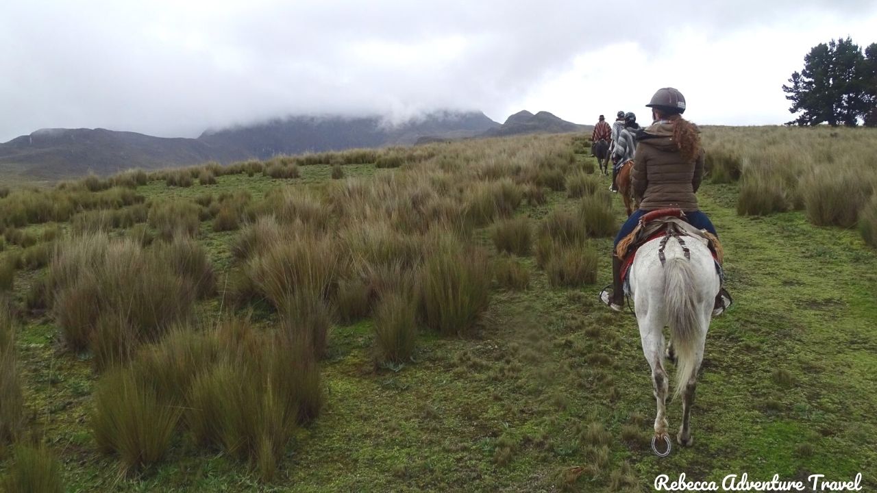 Cotopaxi Horseback Ride