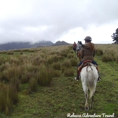 Rebecca Adventure Travel Cotopaxi Horseback Ride