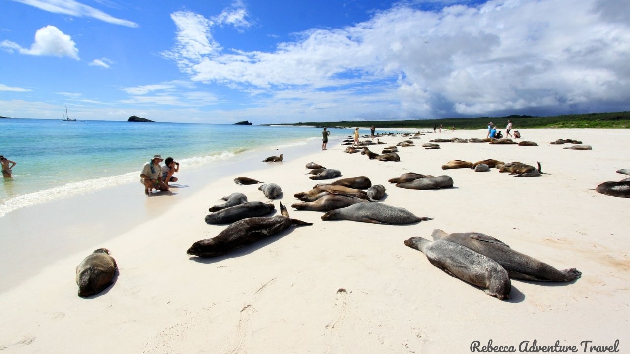 Galapagos Beach