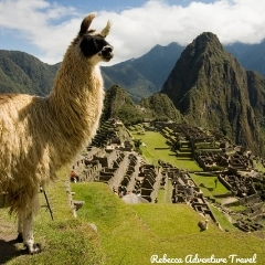Rebecca Adventure Travel Llama Machu Picchu Peru -- Credit - Gihan Tubbeh - PROMPERU