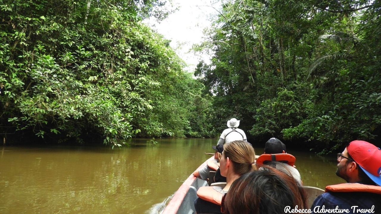 Cuyabeno canoe trip