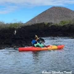 Rebecca Adventure Travel Galapagos Kayak