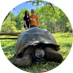 Couple with Galapagos Tortoise