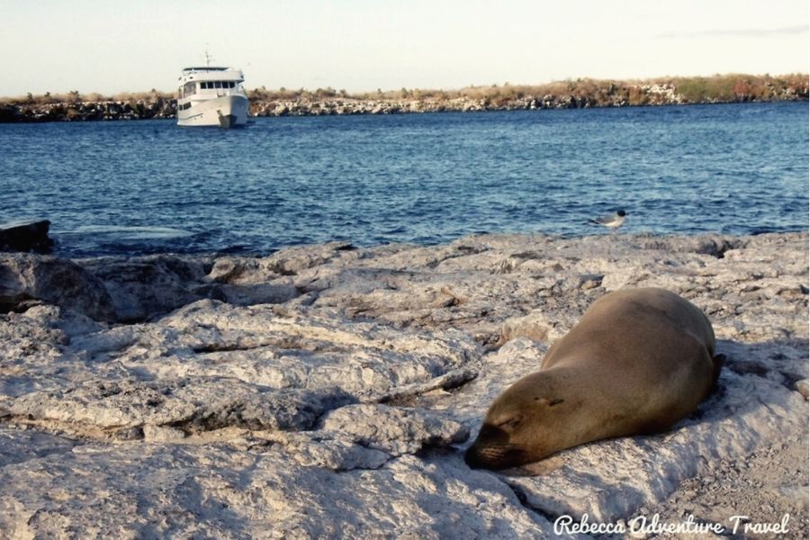Galapagos Boat