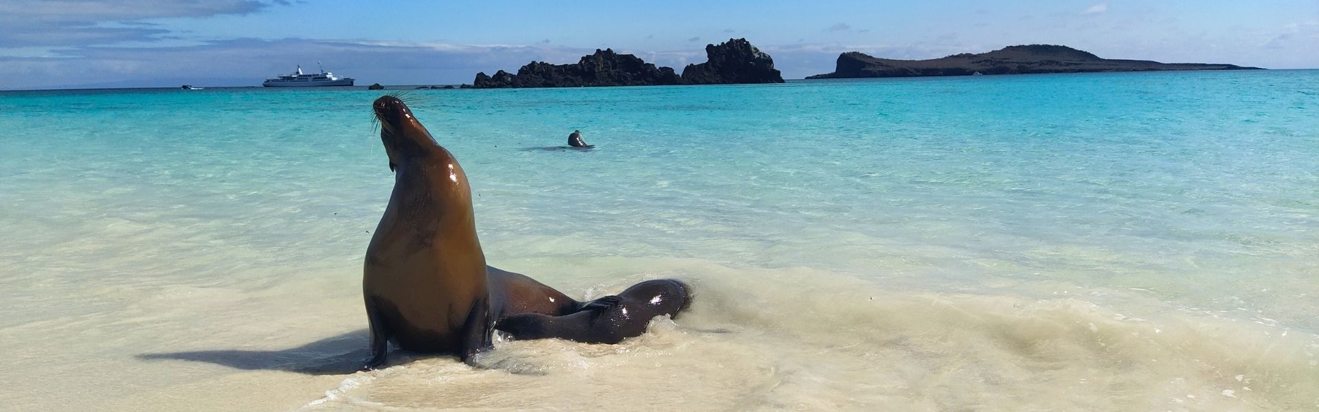 Responsible Travel- Safeguarding Galapagos