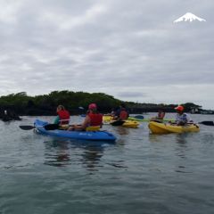 Rebecca Adventure Travel Kayaking in Galapagos