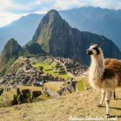 Rebecca Adventure Travel Machu Picchu and llama