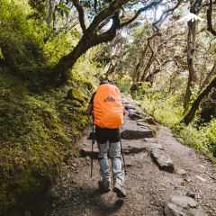 Rebecca Adventure Travel Llactapata to Llulluchapampa