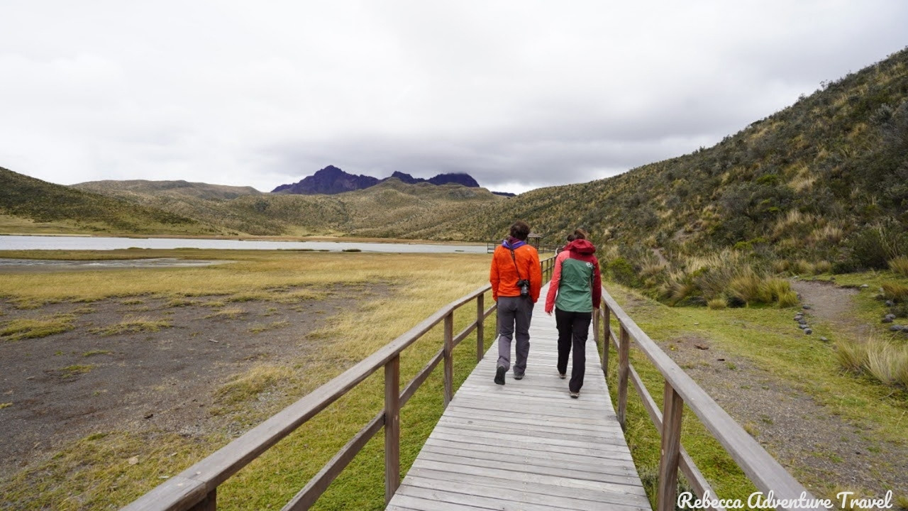 Guests walking in the Cotopaxi National Park