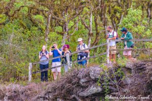 Galapagos tourists