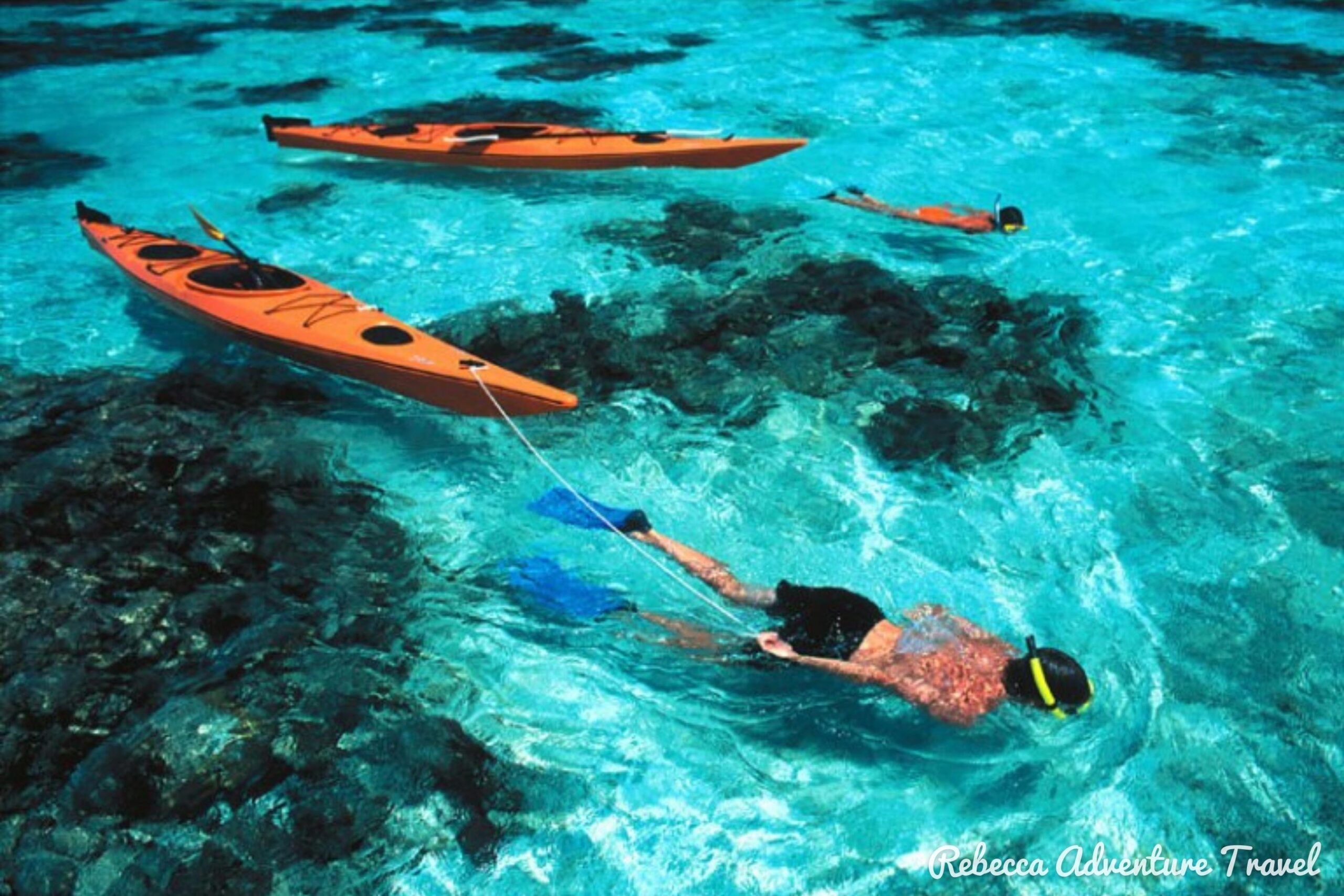 Galapagos Legend Cruise snorkel