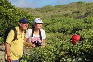 Galapagos Island Tour visitors