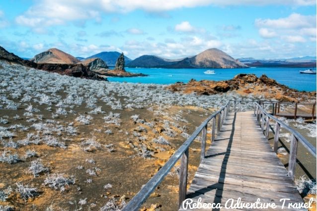 Beach in Galapagos Islands