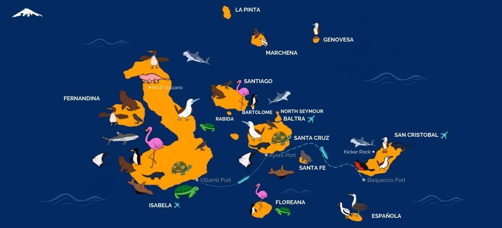 Galapagos-Island_Species-Map