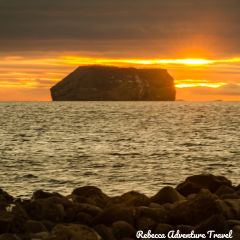 Rebecca Adventure Travel Origin Theory & Evolve - North Seymour Island