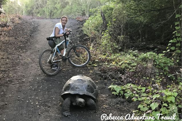 Rebecca posing with a giant tortoise on the route