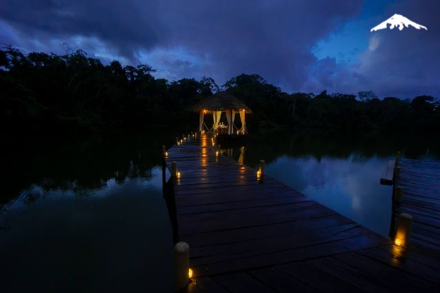 Romantic Dinner at the Amazon Rainforest.