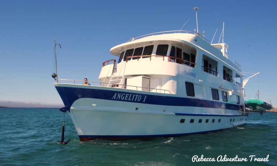 Galapagos Angelito Cruise
