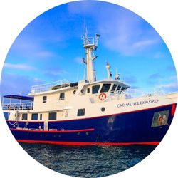 Cachalote Explorer Yacht