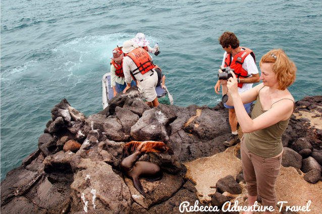 Choose a cruise in the Galapagos Islands. 