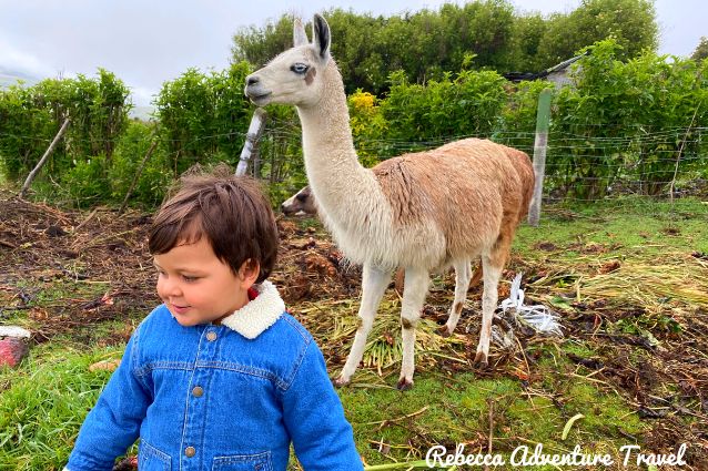 travel with kids in the Ecuadorian Andes