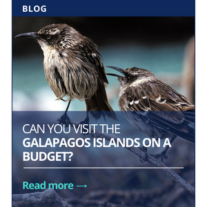 Can you visit the Galapagos Islands on a budget
