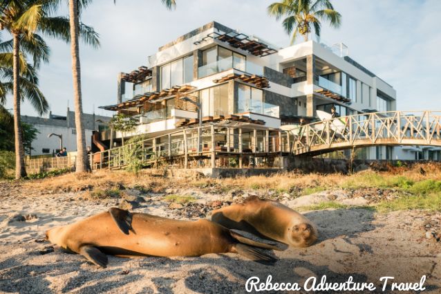 Galapagos, luxury hotel