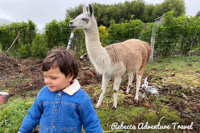 Kid befriending llama in Ecuador.