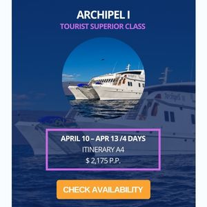 Archipel Cruise Last Minute Promo
