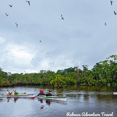 Rebecca Adventure Travel Pañacocha - Anakonda Amazon Cruise