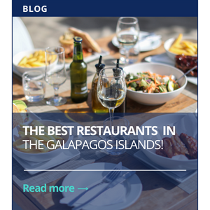the best Restaurants in the Galapagos Islands!