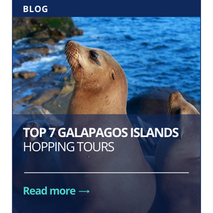 Top 7 Galapagos Islands Hopping Tours