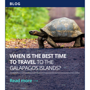 When is the best time to travel to the Galapagos Islands