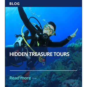 hidden treasure tours