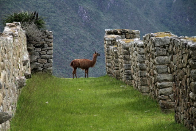 tour Machu Picchu in Peru