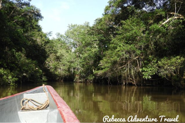 Amazon Journey through a canoe.