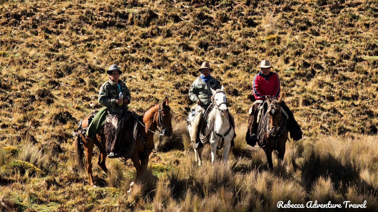 Andes mountain horseback riding tour