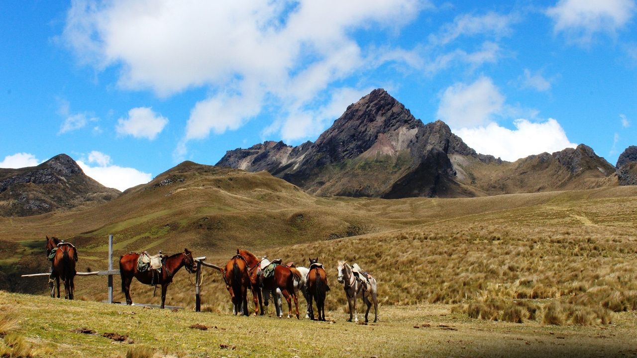 Andes mountain horseback riding tour