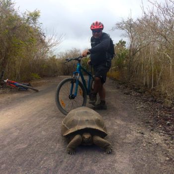 top5 biking - 8 Day Galapagos Multisport