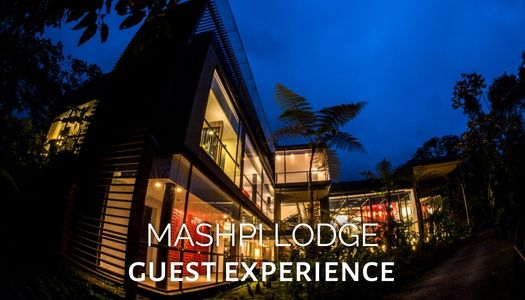 Mashpi Lodge Experience