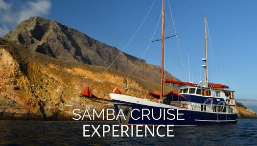 Samba Cruise Experience