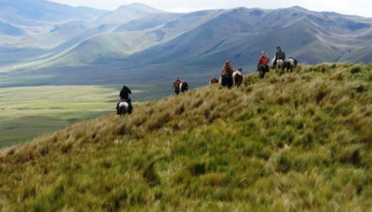 top 5 Cotopaxi horseback riding