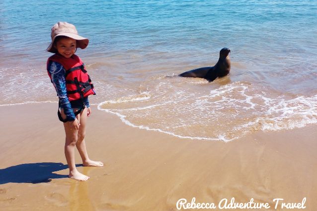Discover Galapagos with kids.
