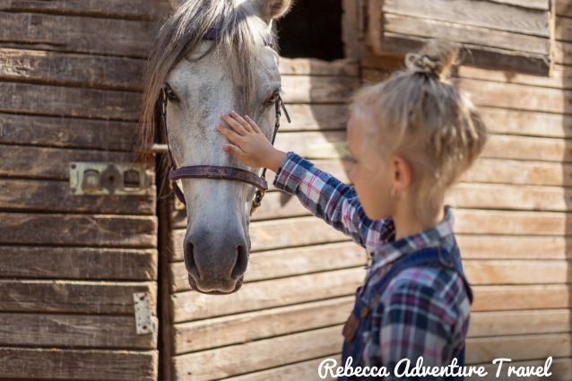 Little girl playing with horse.
